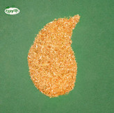 دمنوش گیاهی مخلوط بابونه+آویشن+بومادران